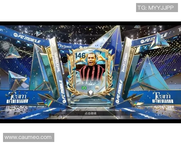 聚焦绿茵赛场核心探讨世界知名足球中锋球星的辉煌历程